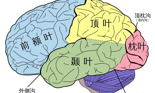 18个月宝宝1日3餐食谱-18个月婴儿一日三餐食谱,中国18个月婴儿一天食谱网站